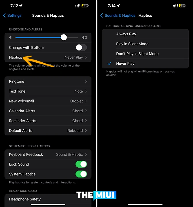 iOS 17'de iPhone'unuzun Varsayılan Titreşimlerini Değiştirin